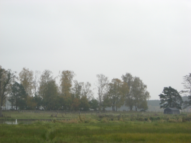 CTF Celle Strecke 048